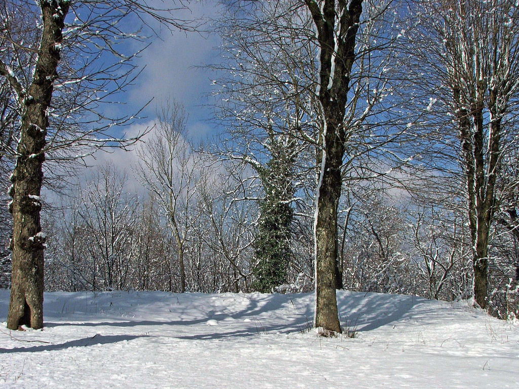 Fonds d'cran Nature Saisons - Hiver Saison d'hiver