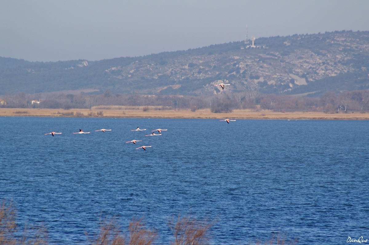 Wallpapers Trips : Europ France > Languedoc-Roussillon Languedoc/Roussillon