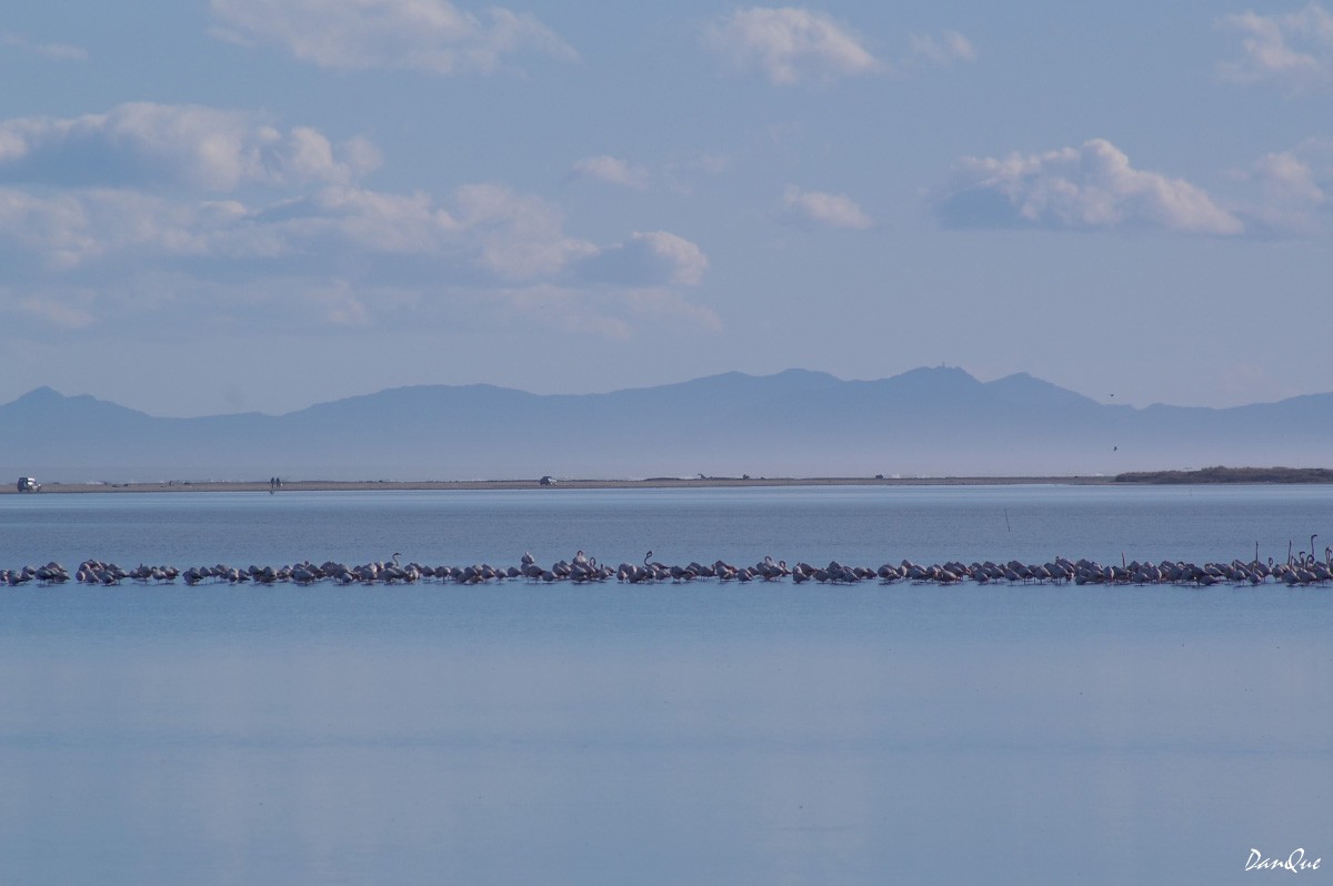 Fonds d'cran Nature Lacs - Etangs Languedoc/Roussillon