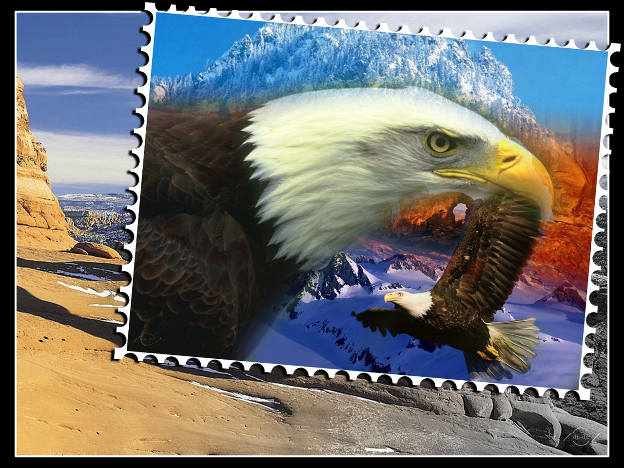 Wallpapers Animals Birds - Eagles Splendide Nature & Aigle