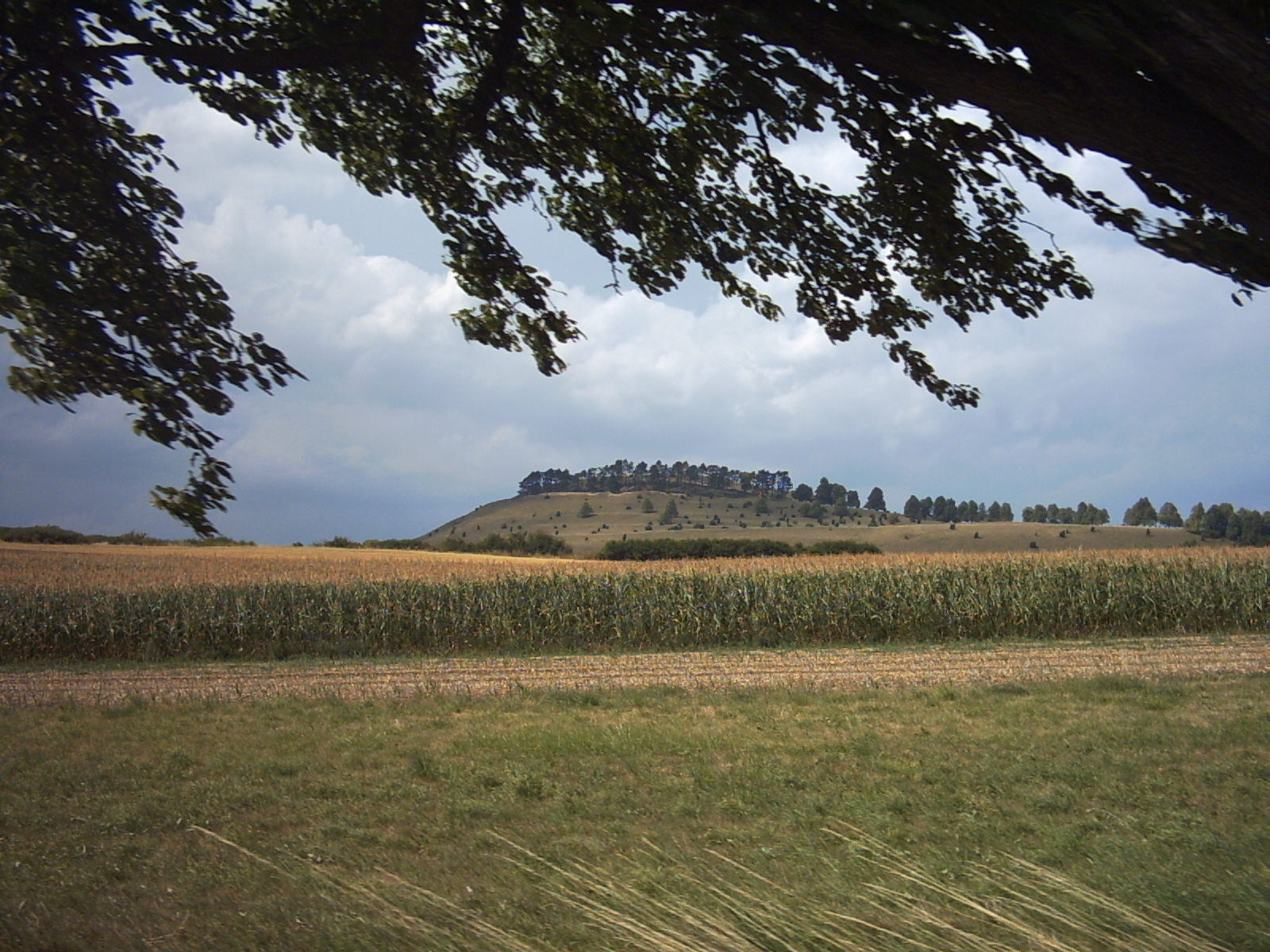 Fonds d'cran Nature Champs - Prairies 