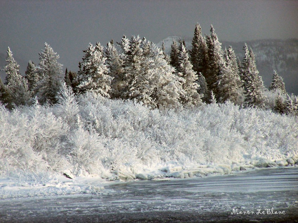 Wallpapers Nature Saisons - Winter Hivers rigoureux