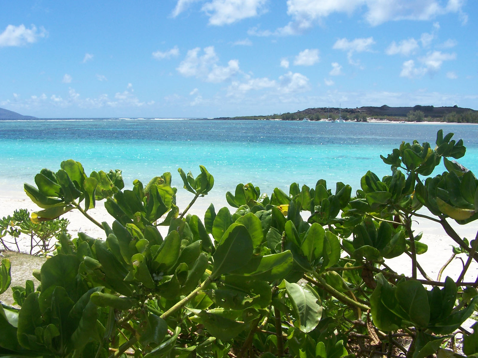 Fonds d'cran Voyages : Afrique Ile Maurice Une Plage De Rve