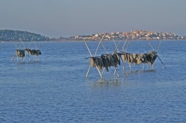 Fonds d'cran Nature Lacs - Etangs Languedoc/Roussillon