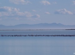 Wallpapers Nature Languedoc/Roussillon