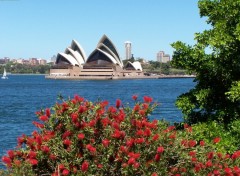Fonds d'cran Voyages : Ocanie L'Opra de Sydney