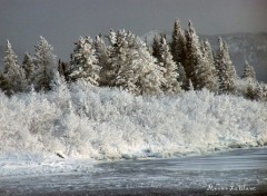 Fonds d'cran Nature Hivers rigoureux