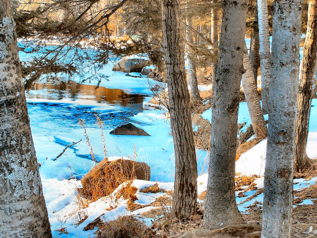 Fonds d'cran Nature Saisons - Hiver 