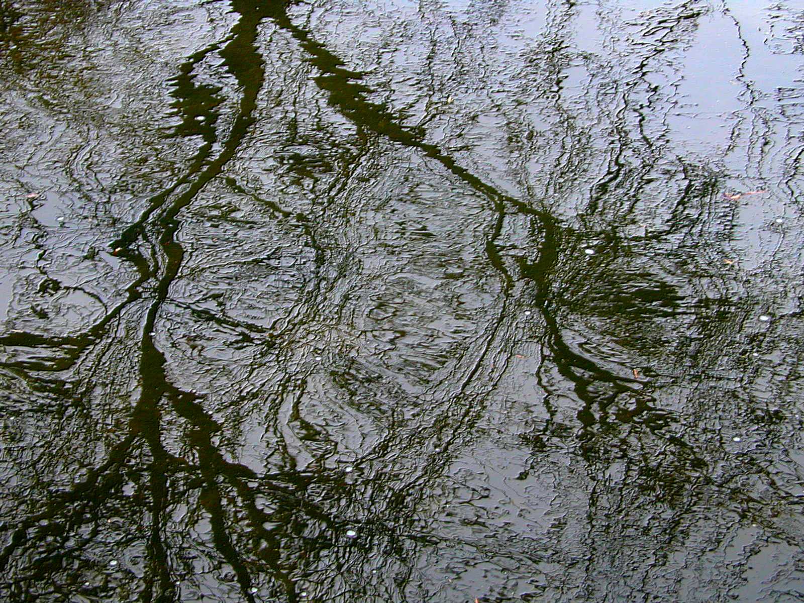 Wallpapers Nature Water - Reflection Reflets