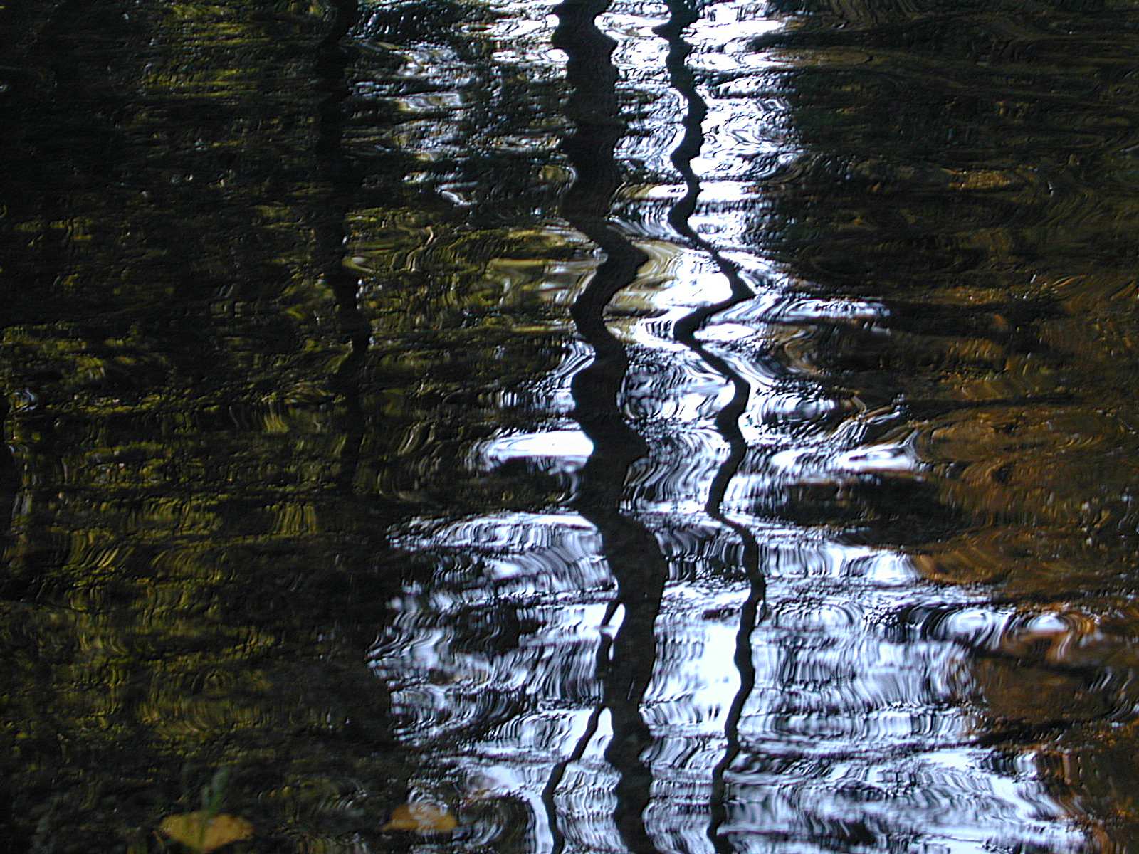 Wallpapers Nature Water - Reflection Reflets