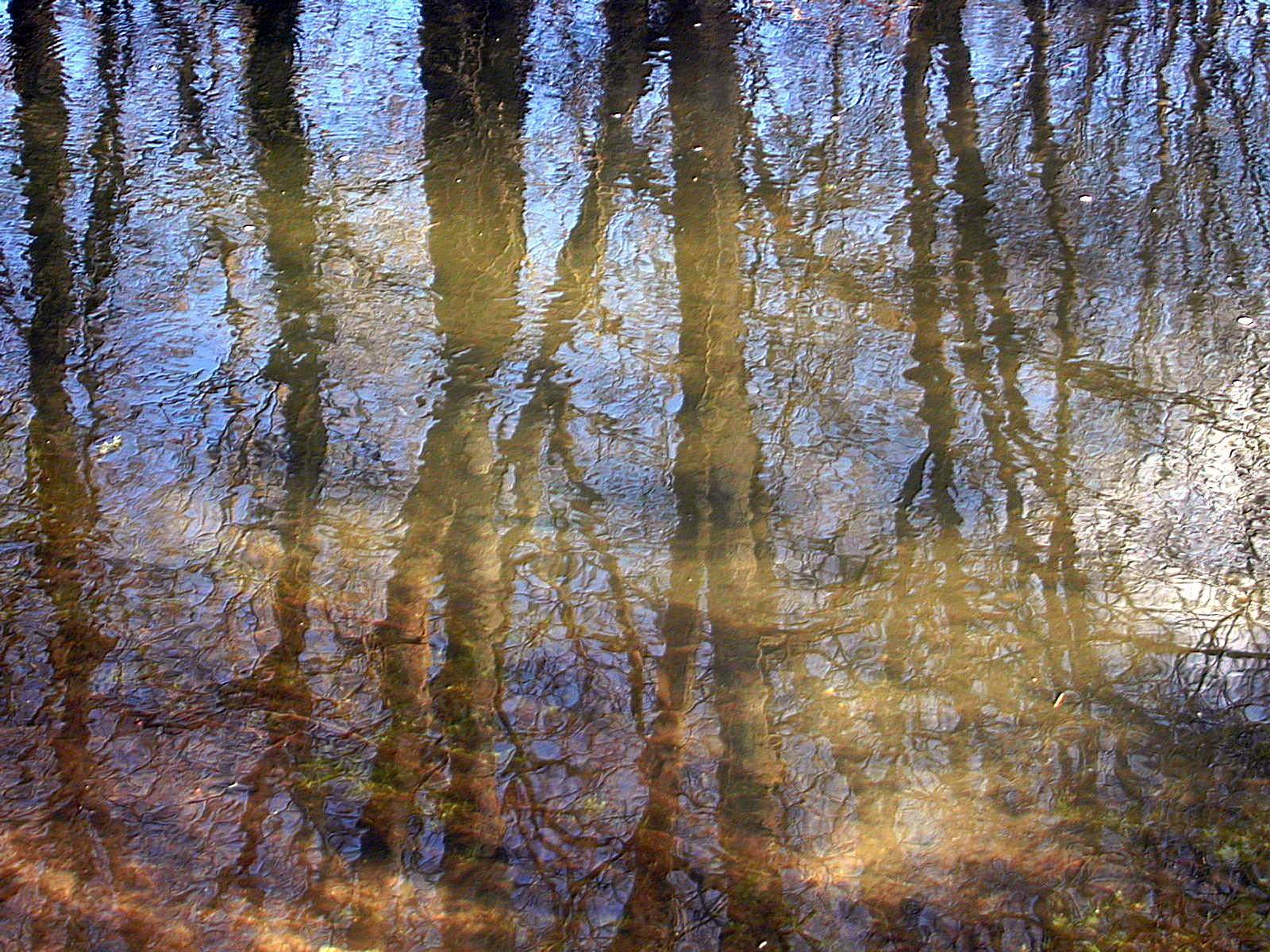 Wallpapers Nature Water - Reflection Reflets