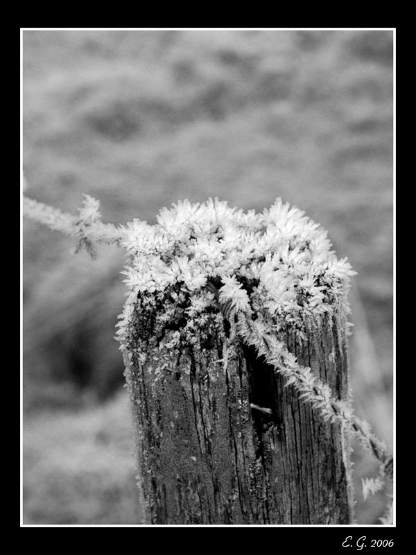 Fonds d'cran Constructions et architecture Constructions diverses Givre