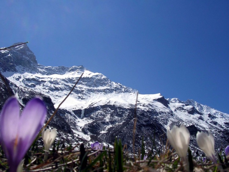 Wallpapers Nature Mountains Sur le chemin des lacs de la Plagne.