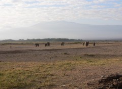 Fonds d'cran Voyages : Afrique les plaines du Kilimandjaro