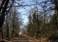 Wallpapers Nature Chemin de promenade