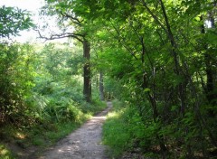 Fonds d'cran Nature Chemin