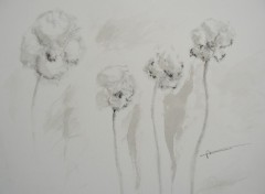 Wallpapers Art - Pencil orchides