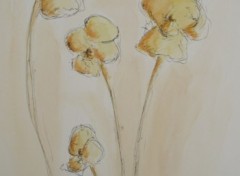 Wallpapers Art - Pencil orchides