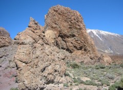 Fonds d'cran Voyages : Afrique Parc national du Tede 2 (Tenerife)