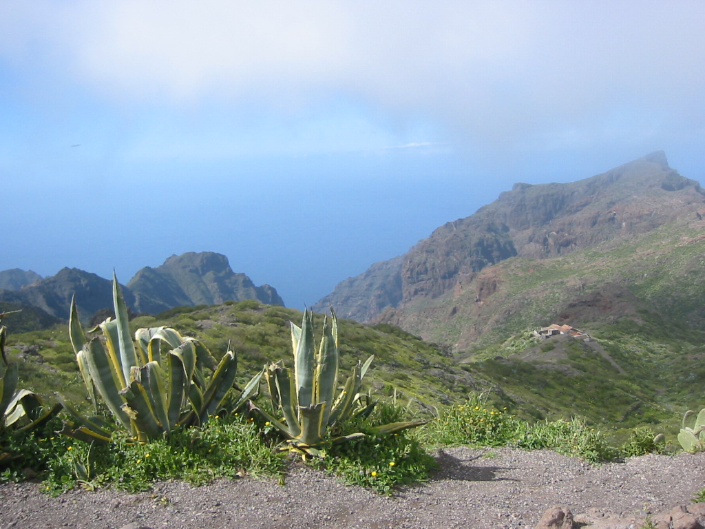 Fonds d'cran Voyages : Afrique Les Canaries Route de Masca 2 (Tenerife)