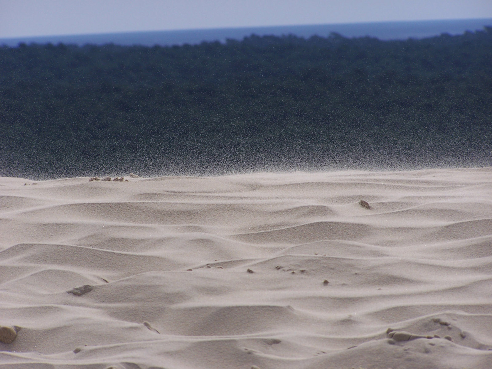 Fonds d'cran Nature Mers - Ocans - Plages Vent de Sable