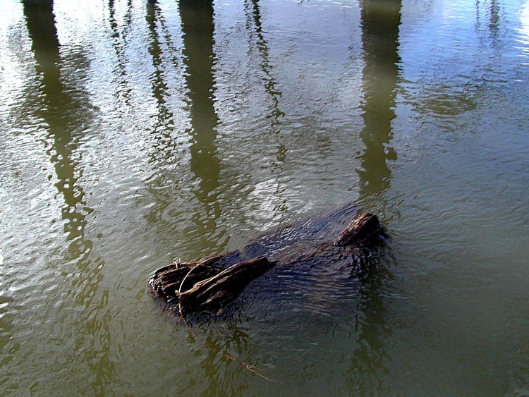 Wallpapers Nature Water - Reflection Reflets