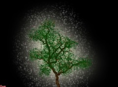 Fonds d'cran Art - Numrique Tree of life