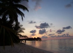 Fonds d'cran Voyages : Asie Coucher de soleil au Maldives