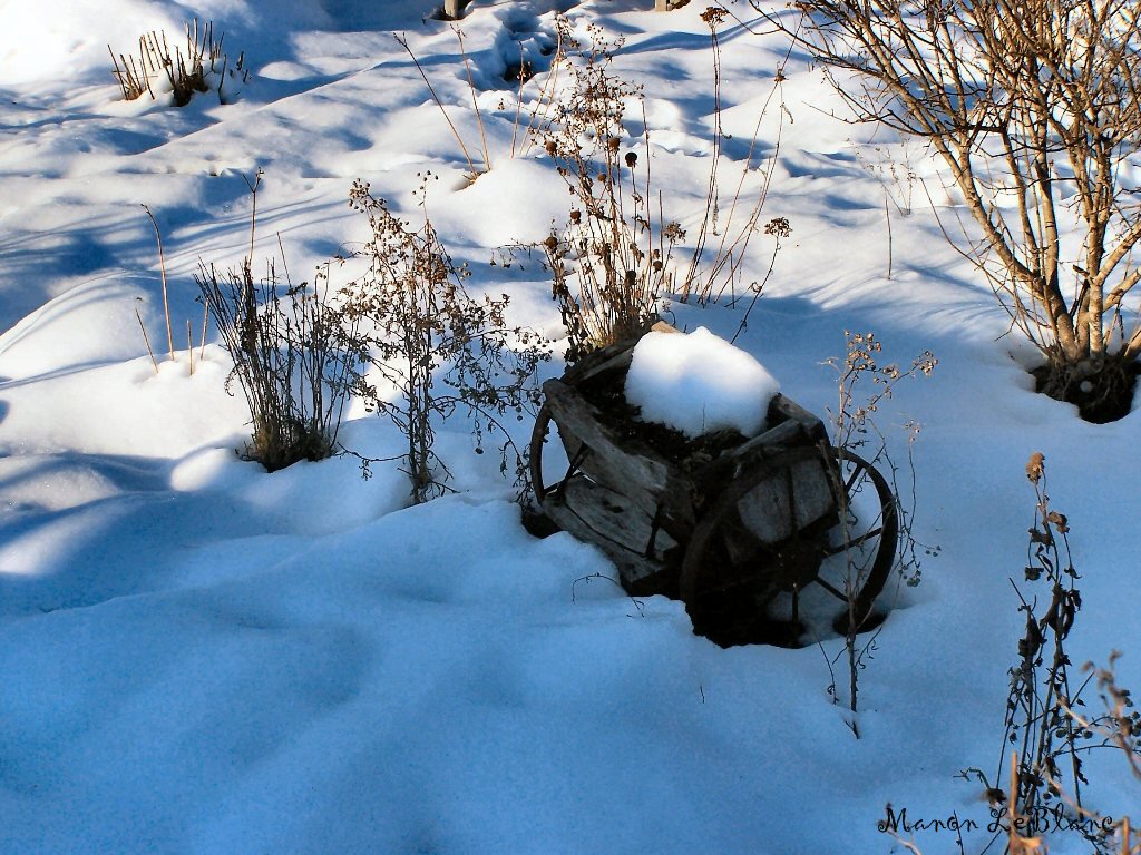 Fonds d'cran Nature Saisons - Hiver 