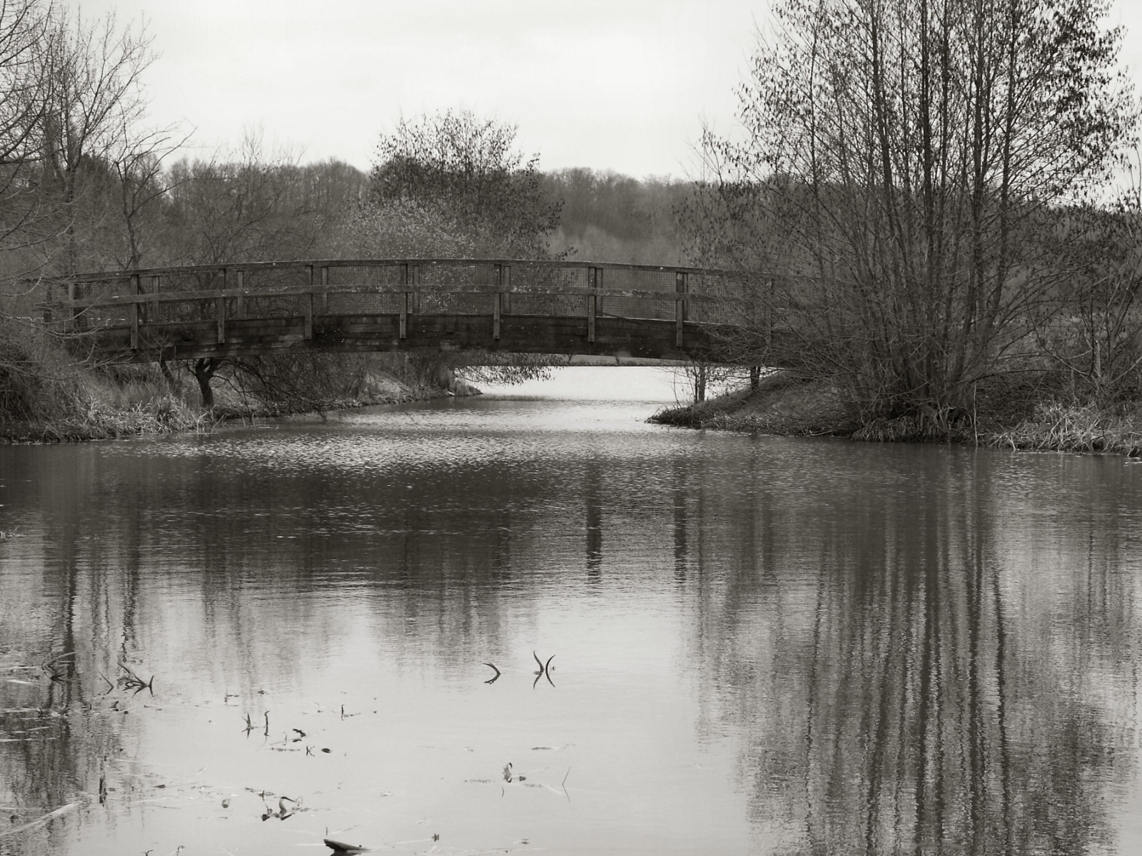 Fonds d'cran Nature Lacs - Etangs Base de loisirs (Bois Le Roi)