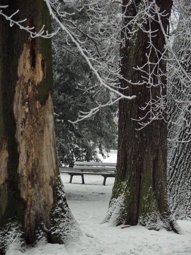 Fonds d'cran Nature Saisons - Hiver Saison d'hiver