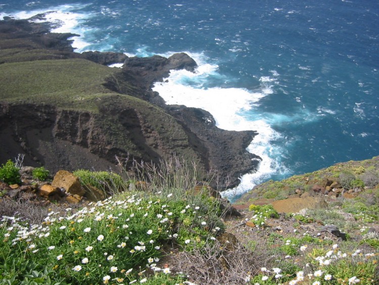 Fonds d'cran Voyages : Afrique Les Canaries La Punta del Teno (1) (Tnrife)