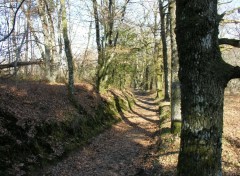 Fonds d'cran Nature Ballade rveuse