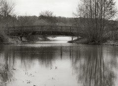 Fonds d'cran Nature Base de loisirs (Bois Le Roi)