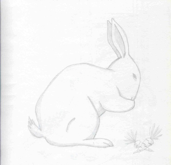 Wallpapers Art - Pencil Animals - Rabbits 