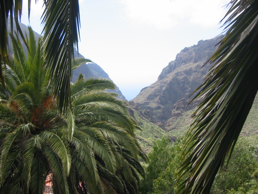 Wallpapers Trips : Africa Canaria Valle de Masca (Tenerife)