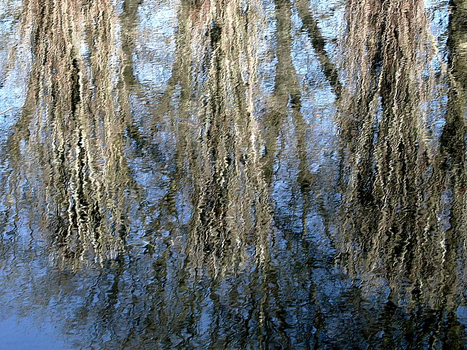 Wallpapers Nature Water - Reflection Reflets