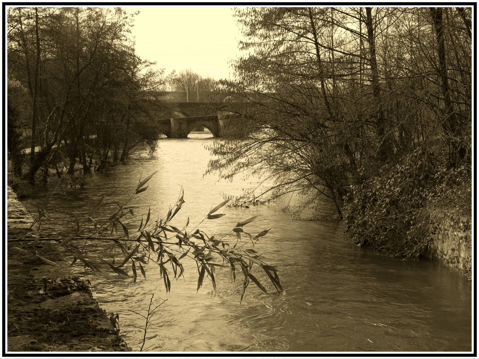 Fonds d'cran Nature Fleuves - Rivires - Torrents Les trois ponts