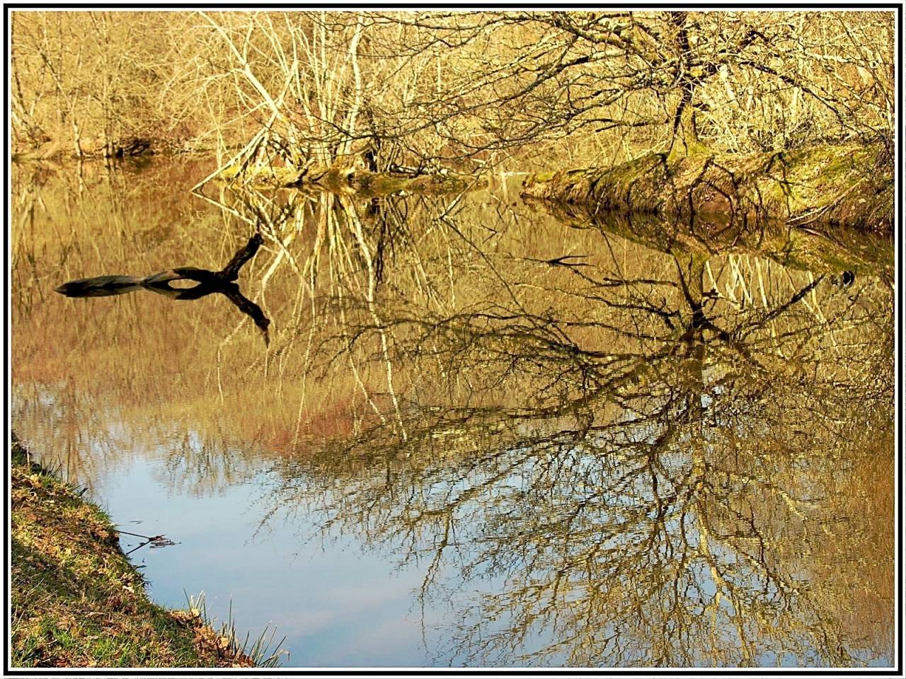 Fonds d'cran Nature Eau - Reflets 