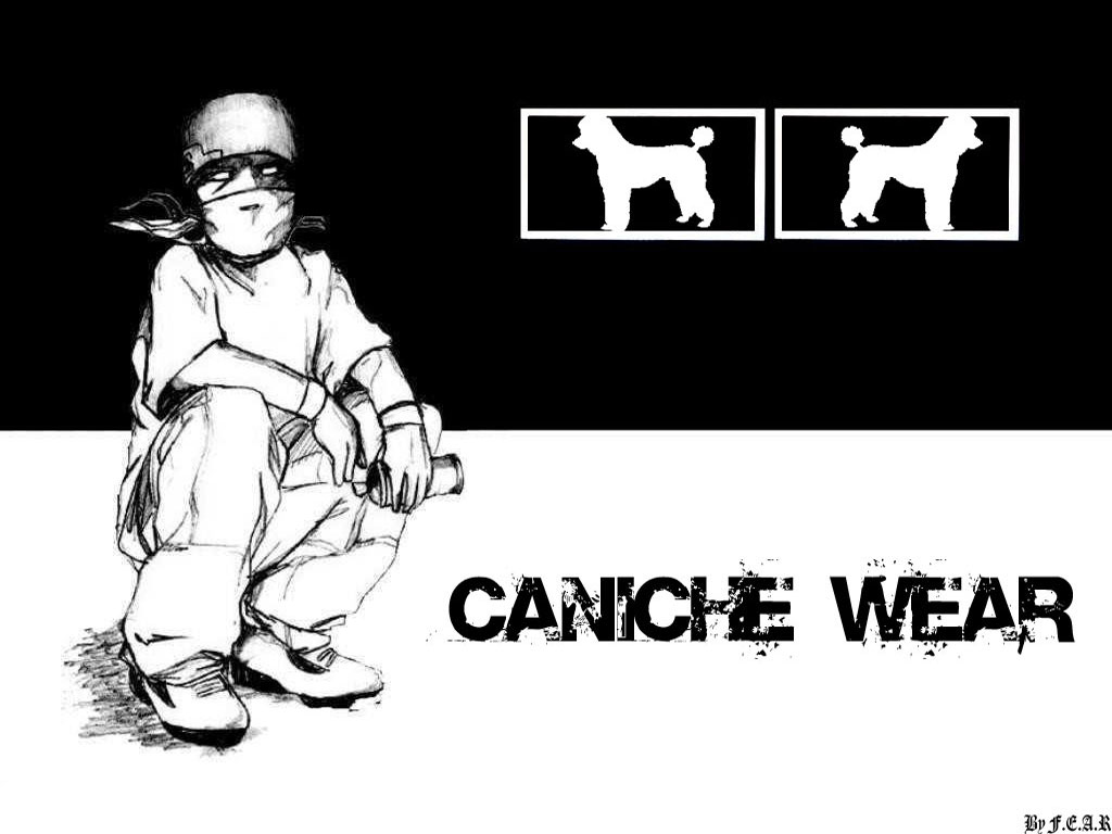 Fonds d'cran Humour Parodies Caniche Wear