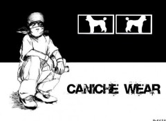 Fonds d'cran Humour Caniche Wear