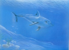 Wallpapers Art - Pencil dauphin