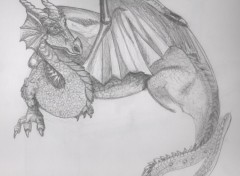 Fonds d'cran Art - Crayon dragon jny