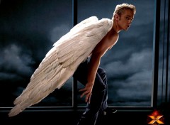 Wallpapers Movies Angel