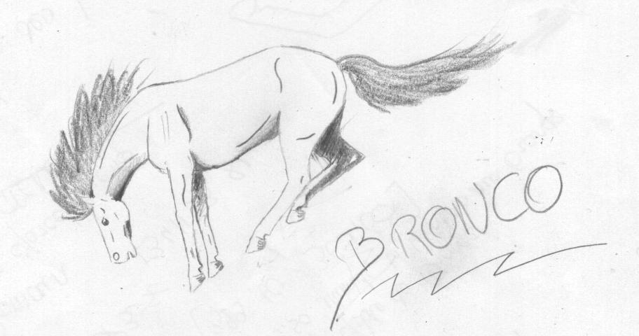 Fonds d'cran Art - Crayon Animaux - Chevaux Bronco