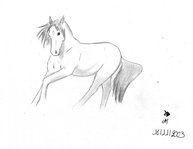 Wallpapers Art - Pencil Animals - Horses Andalousian Freedom