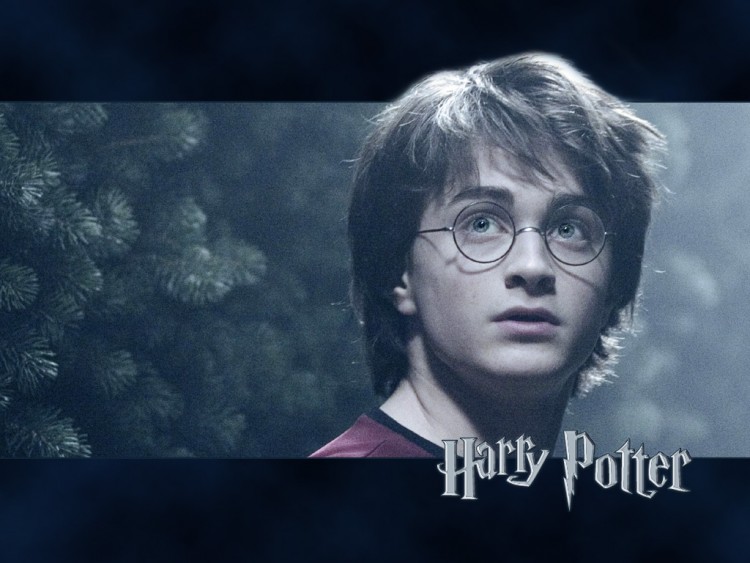 Wallpapers Movies Harry Potter and the Goblet of Fire Harry Potter - Daniel Radcliffe