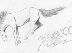 Wallpapers Art - Pencil Bronco