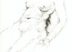 Fonds d'cran Erotic Art Etude