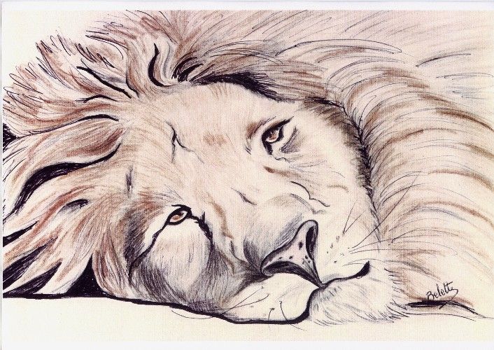 Fonds d'cran Art - Crayon Animaux - Flins Lion